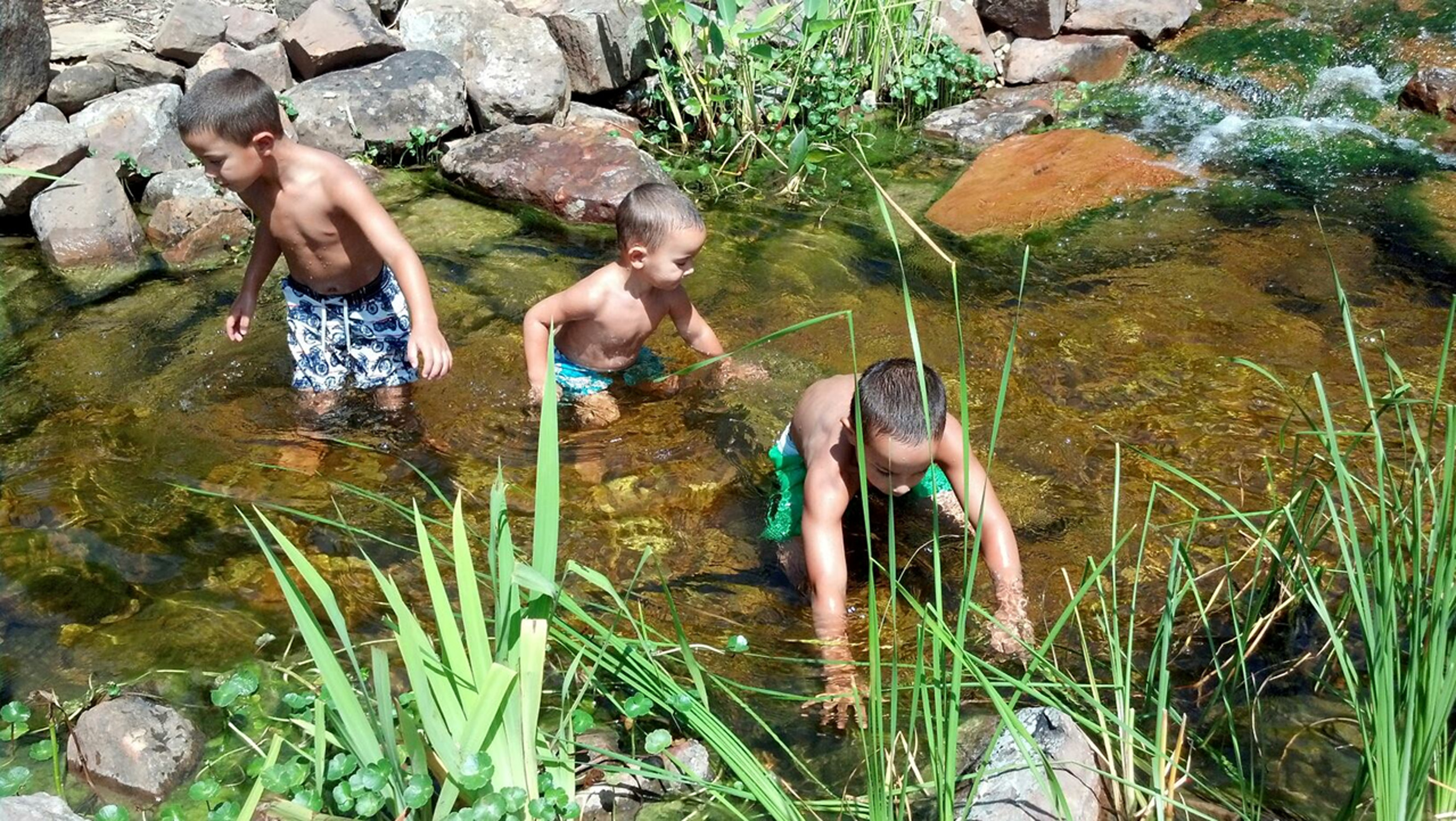 boys swimming in stream
