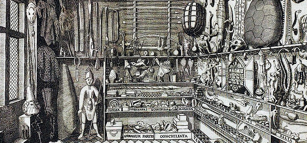Ole worm's cabinet of curiosities
