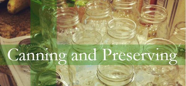 Canning Preserving 600 280