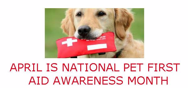 FIRST AID MONTH 2