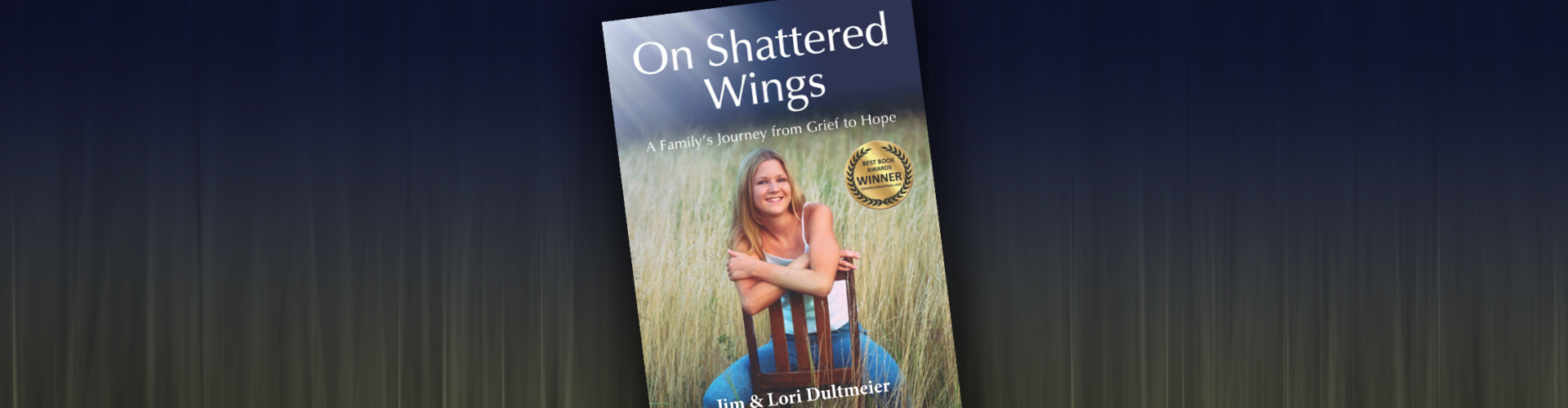on shattered wings image