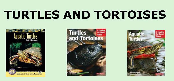 TURTLES AND TORTOISES - Topeka & Shawnee County Public Library