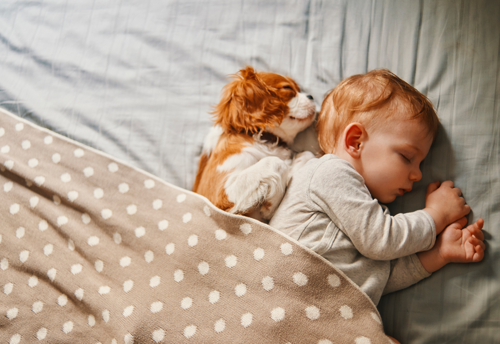 Baby and puppy sleeping