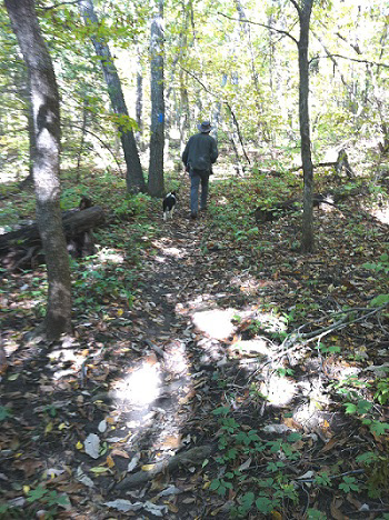 Perry Lake Trail