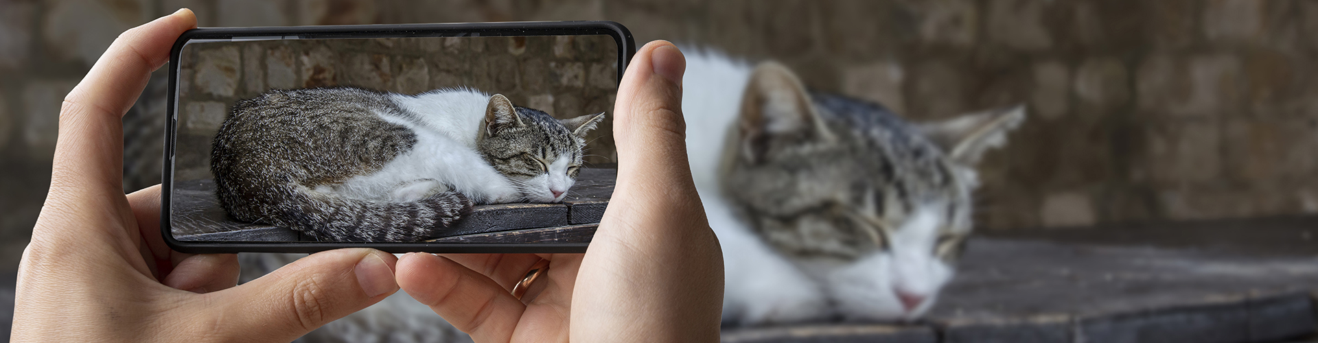Improve your smartphone photography - Topeka & Shawnee County Public