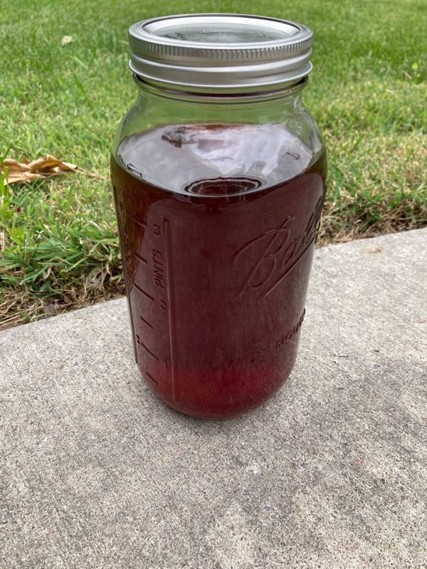 dye from avocado pits in glass jar