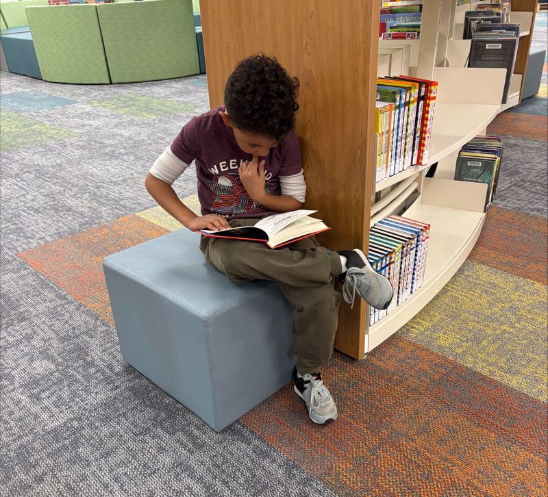 boy reading