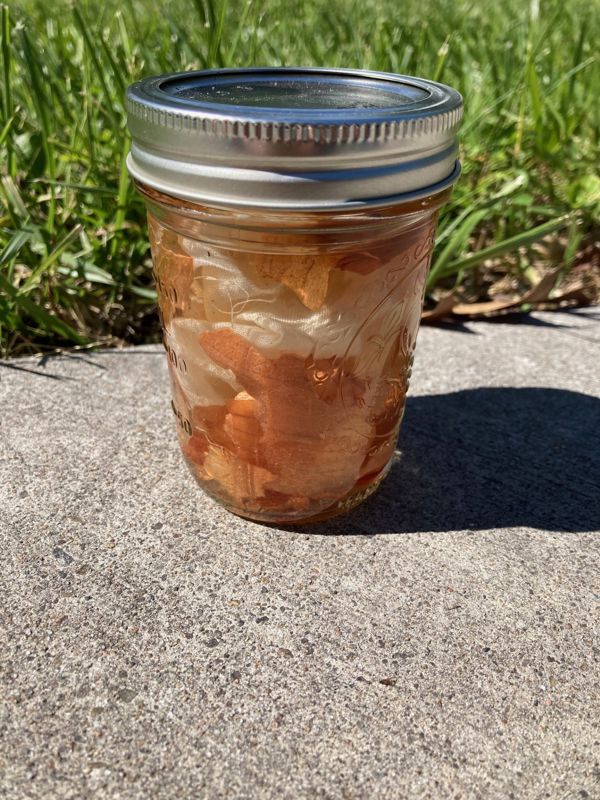 glass jar filled with onion skins, water, and fabric