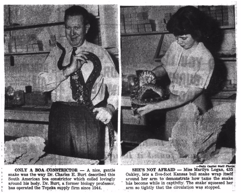Two black and white images from the Topeka Daily Capital showing Dr. Charles E. Burt and Marilyn Logan each handling snakes