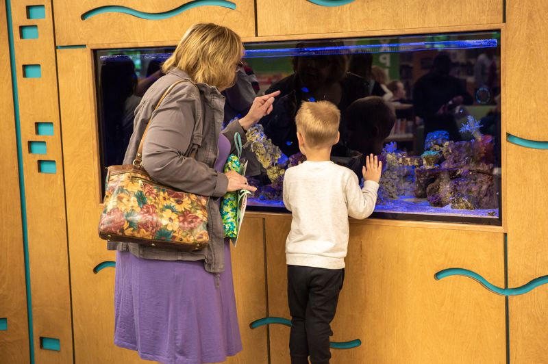 aquarium kid