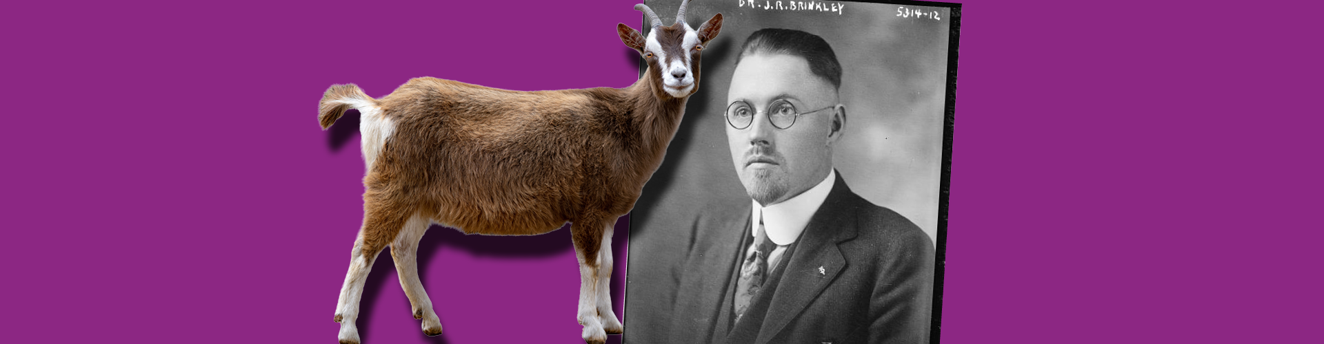 Goat and Dr Brinkley