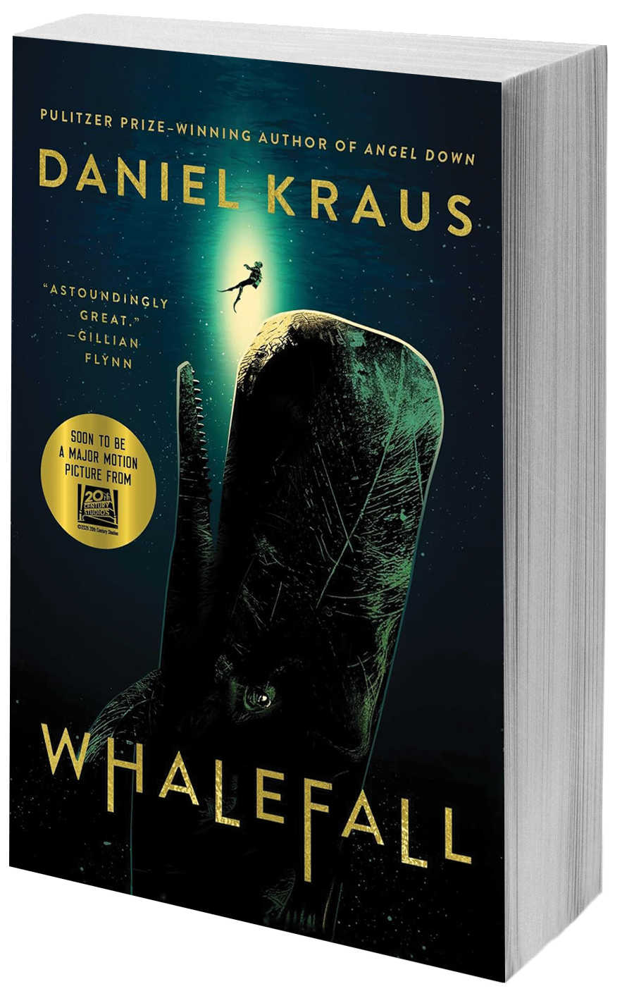 book cover diver fallingin whale mouth