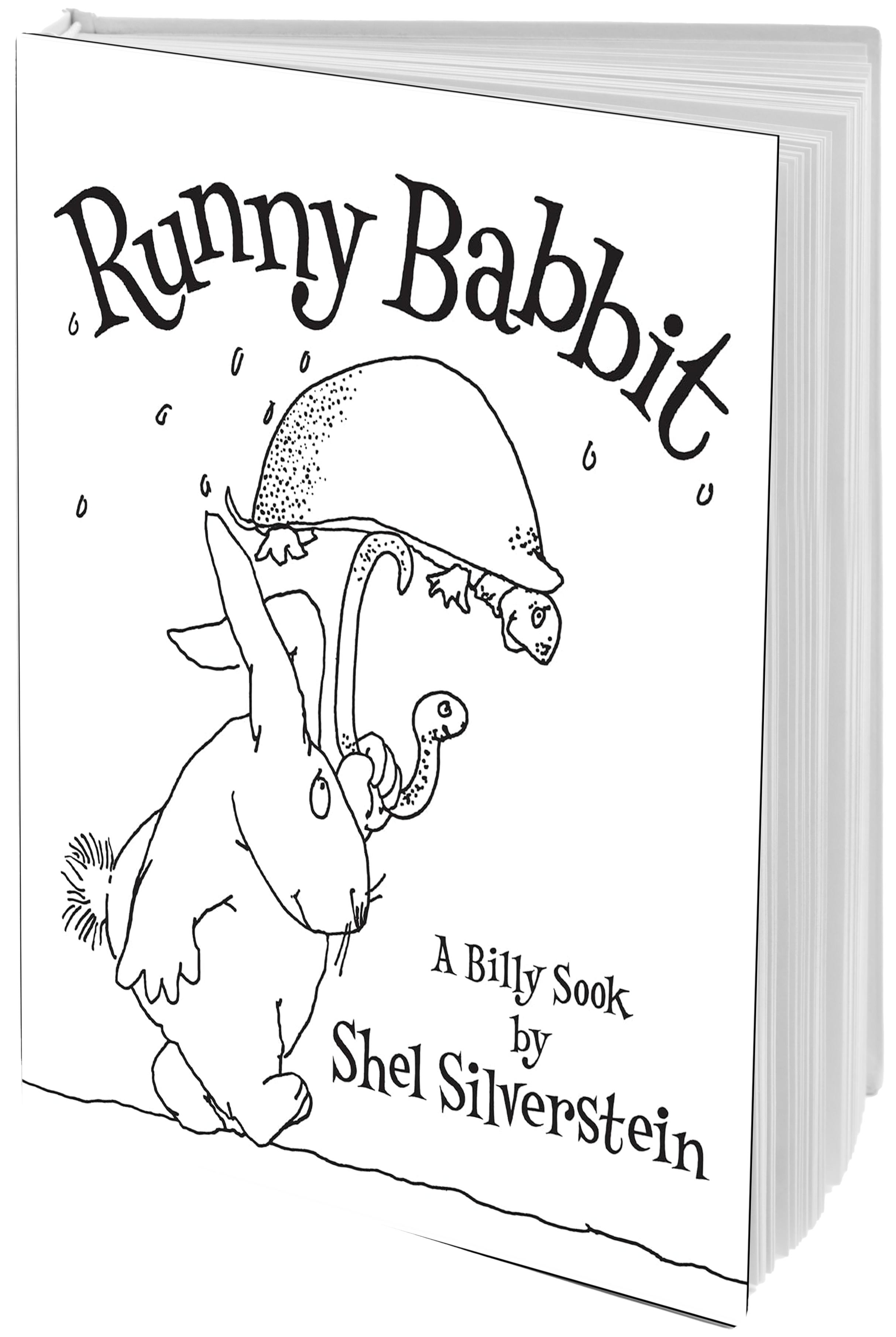 book cover rabbit using turtle as umbrella