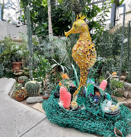 Dandelion the Seahorse