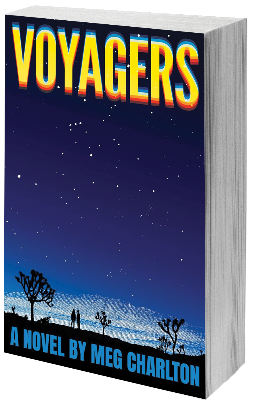 book cover vast sky