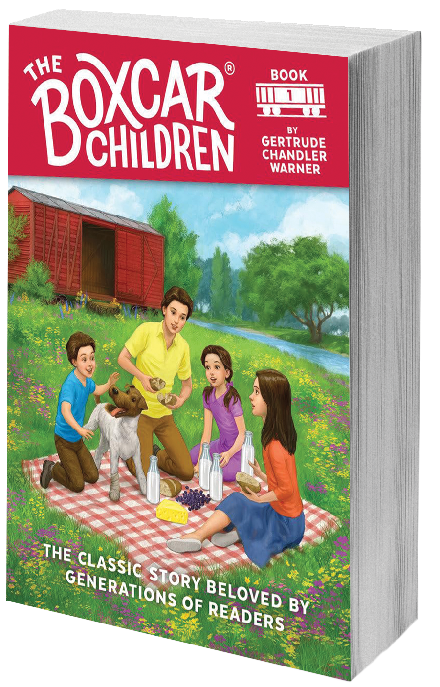 book cover kids having a picnic