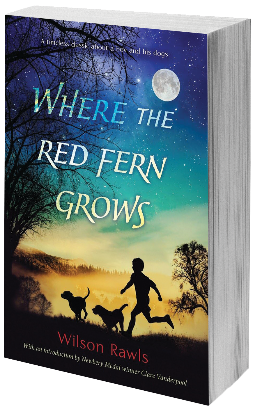 book cover boy and 2 dogs