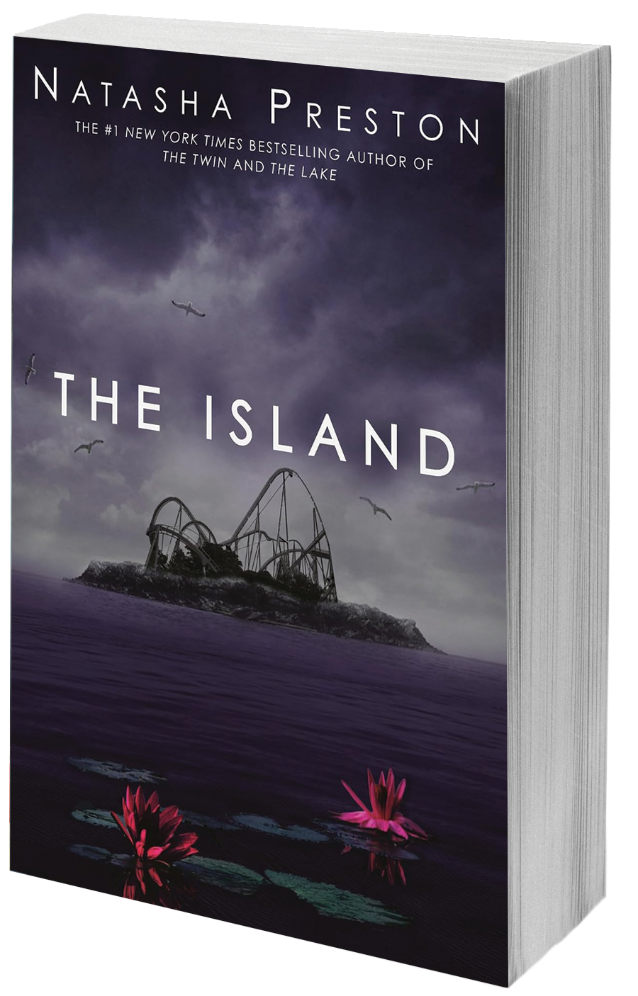 book cover - dark sea and island with roller coaster dominating