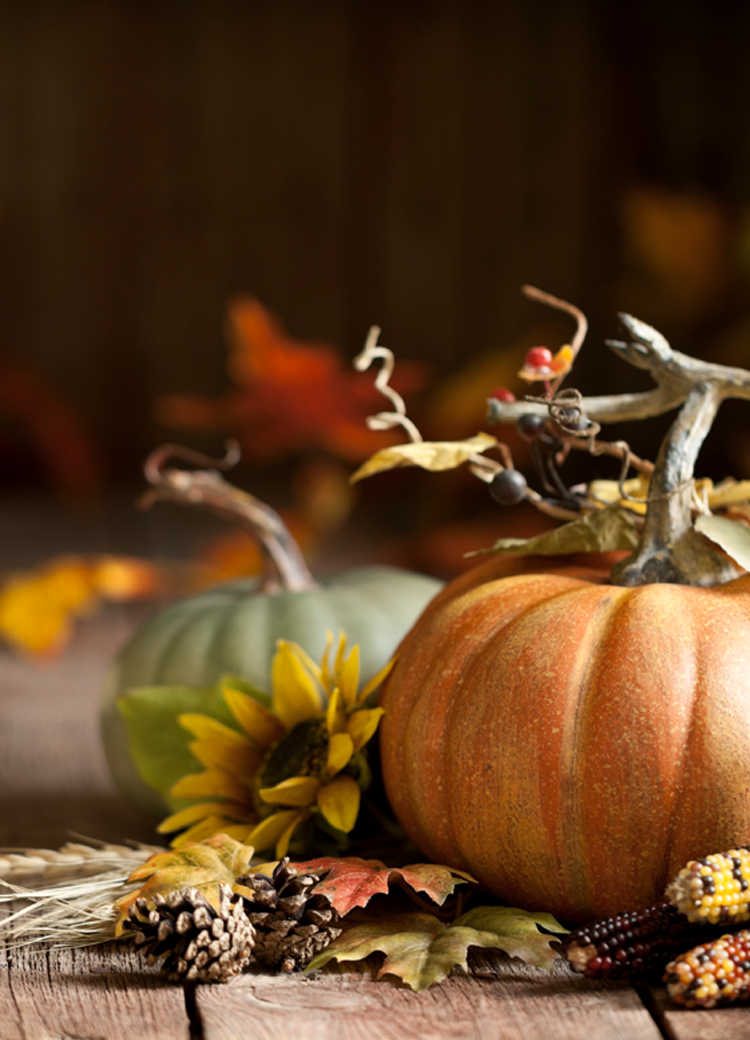 fall image featured mobile
