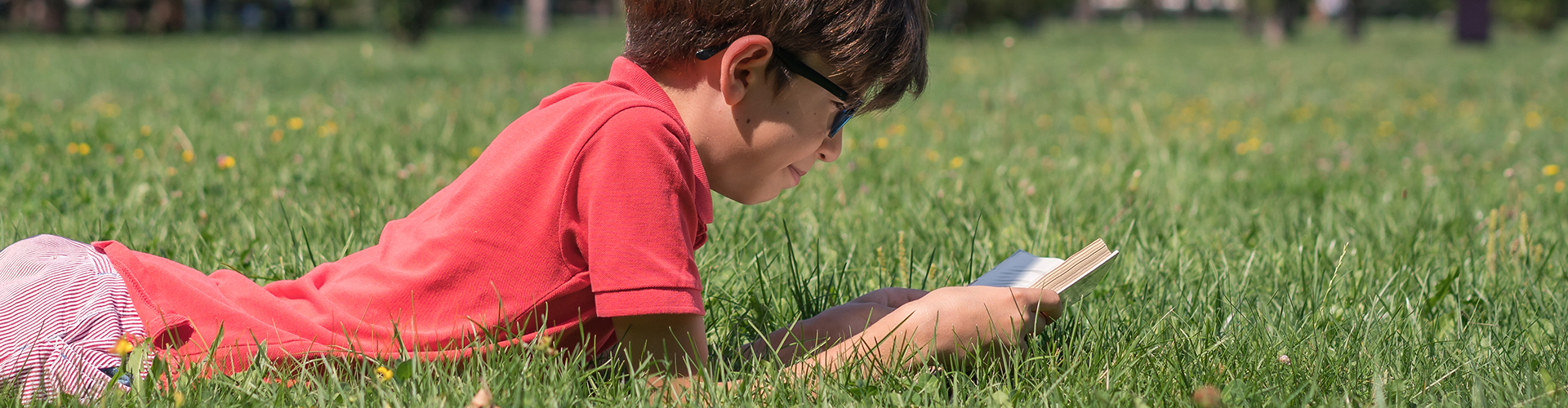 boy reading in grass