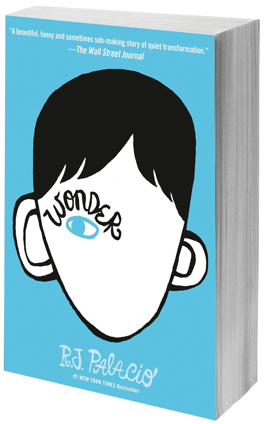 book cover boy with one eye