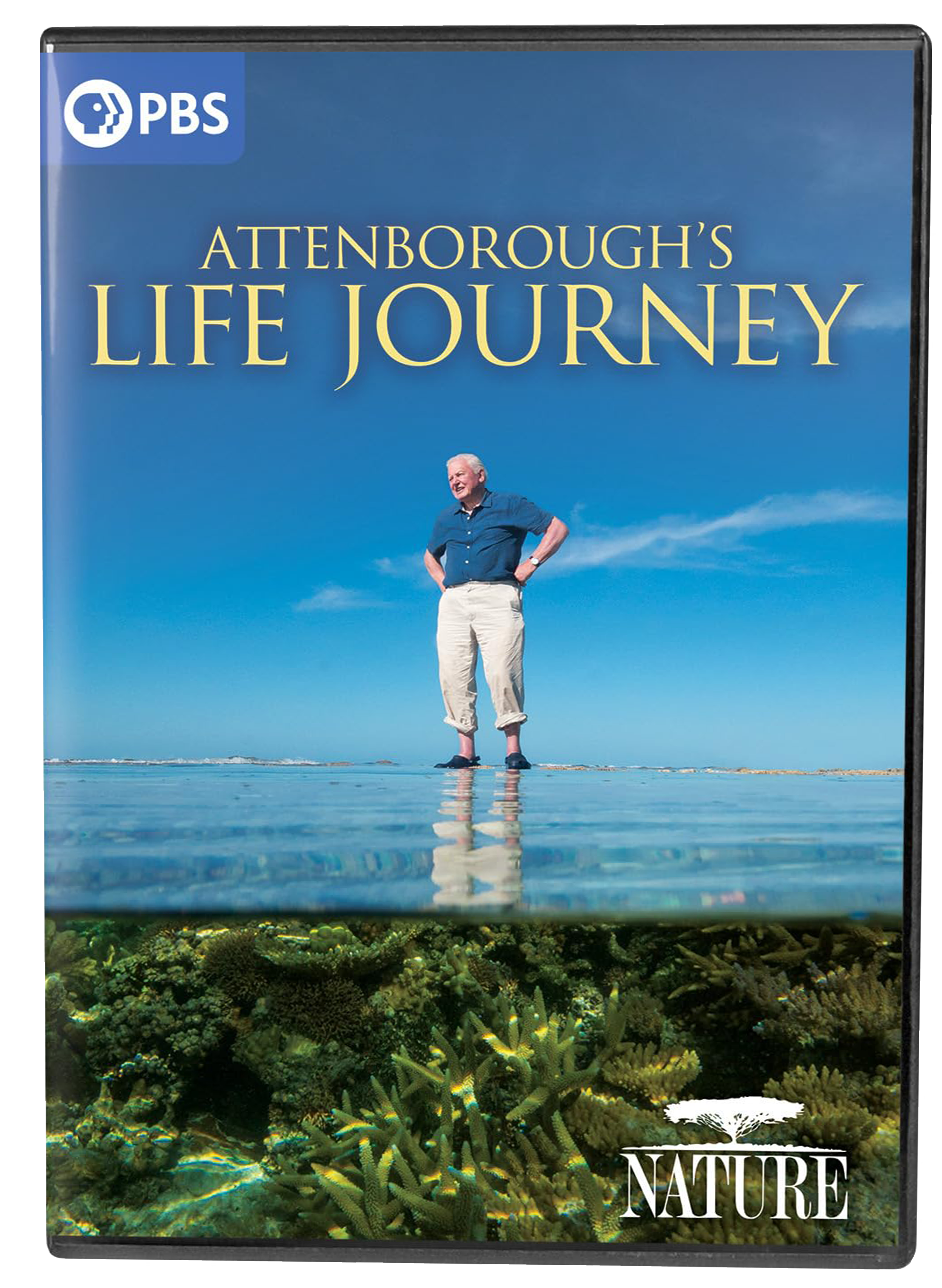 DVD cover Attenborough standing in ocean