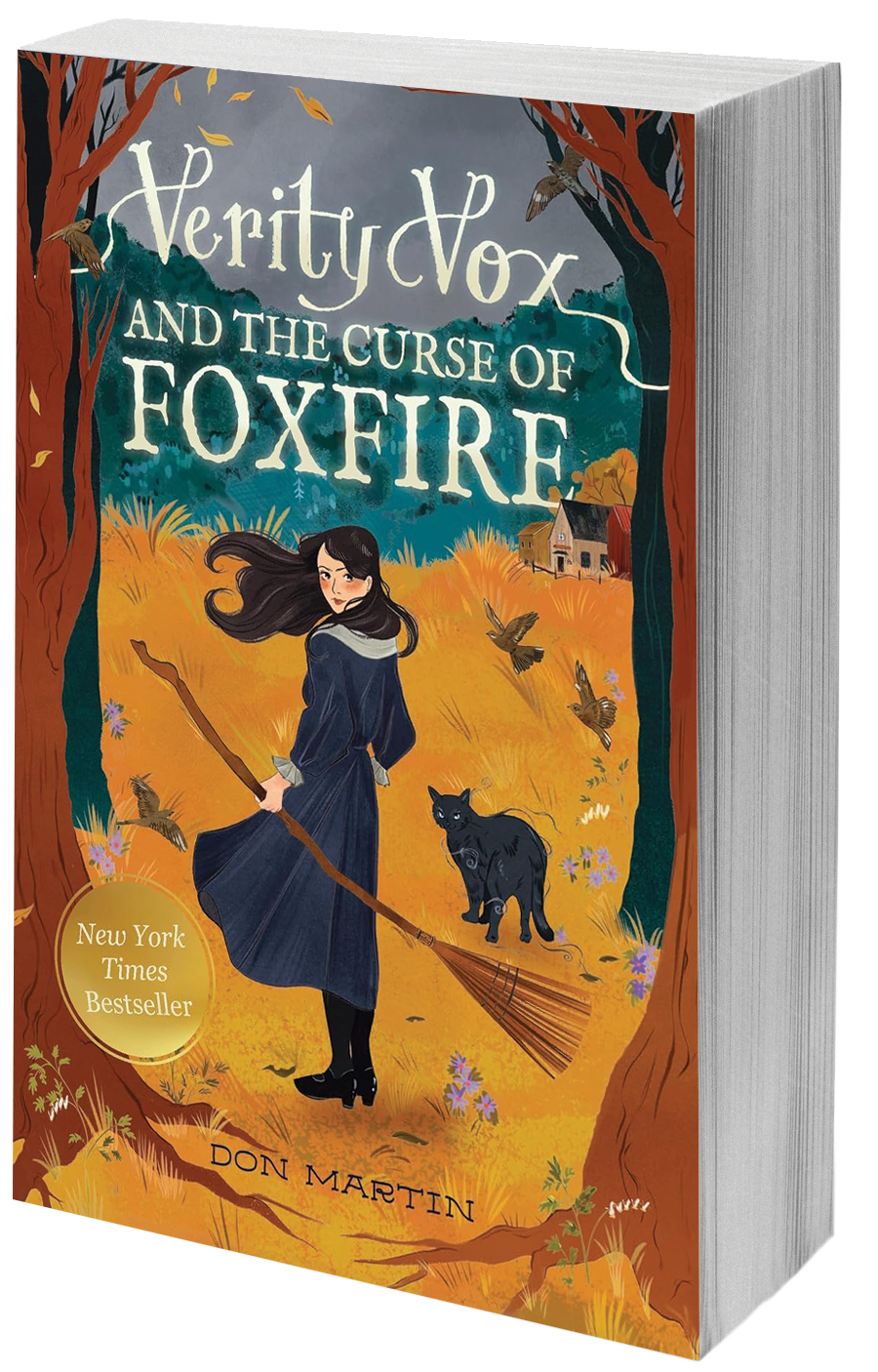 book cover girl with broom and cat