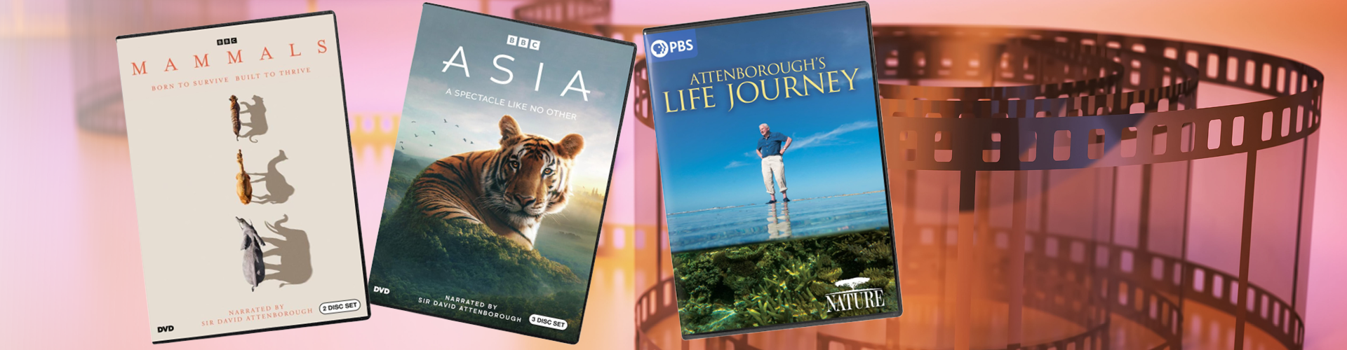 DVD covers