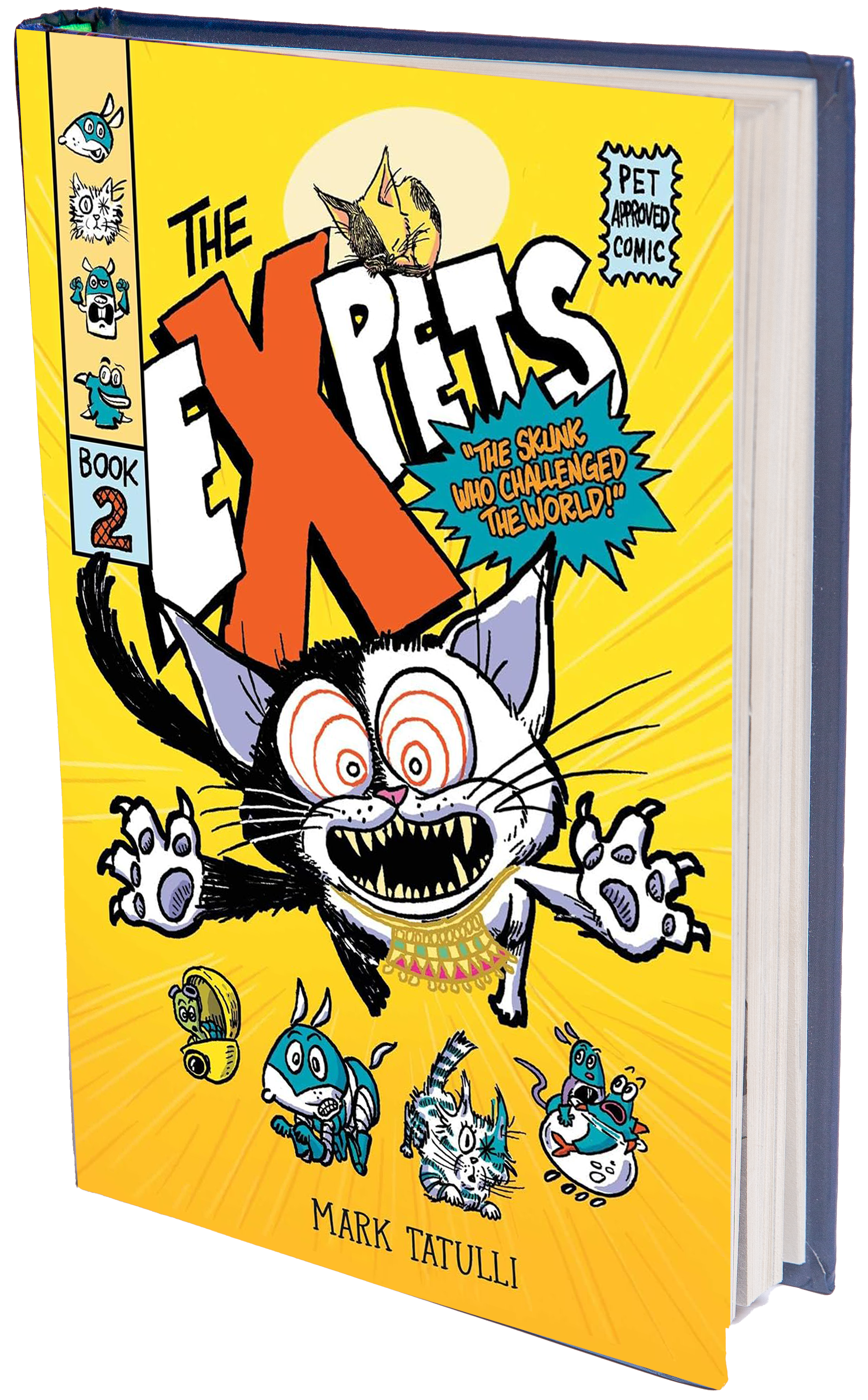 book cover crazy flying kitten