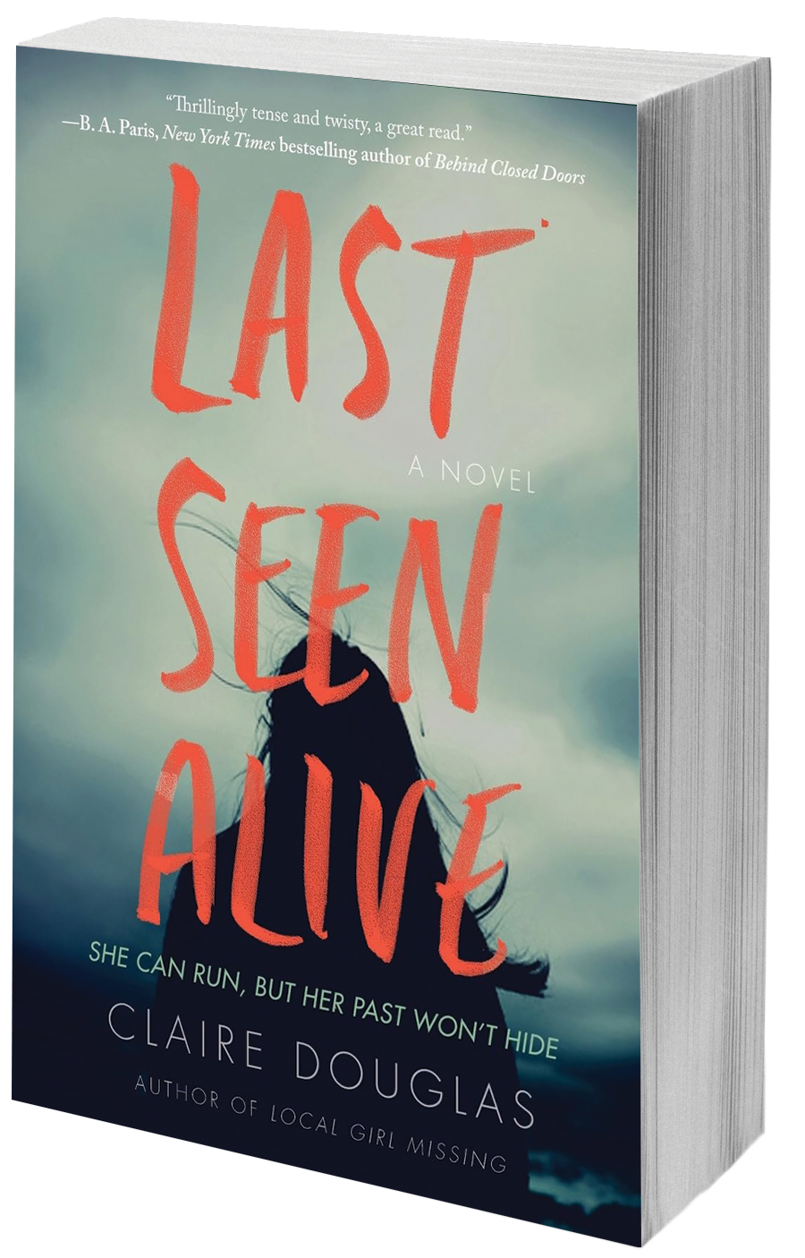 book cover silhouette of a woman