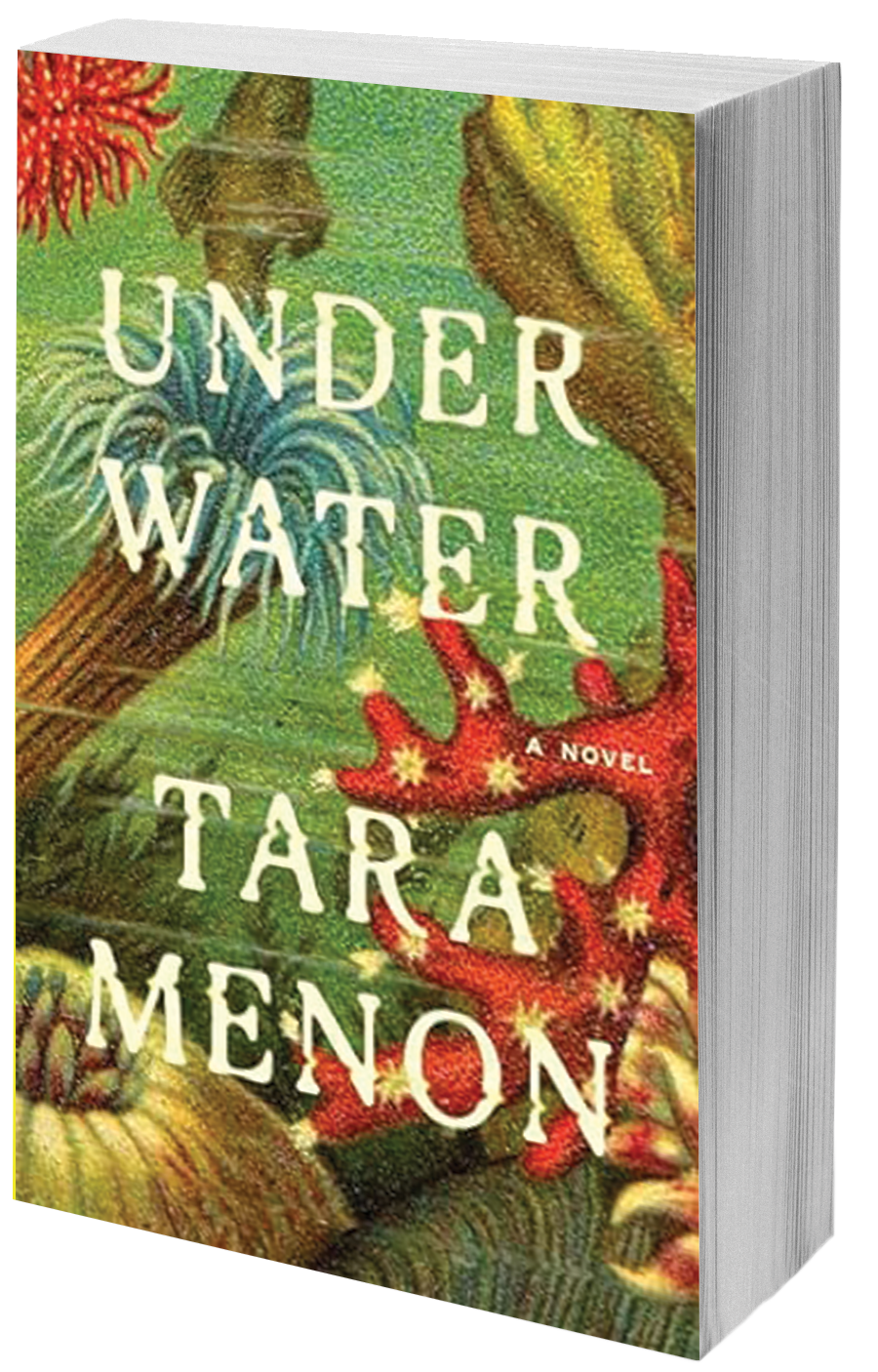 book cover sea creatures