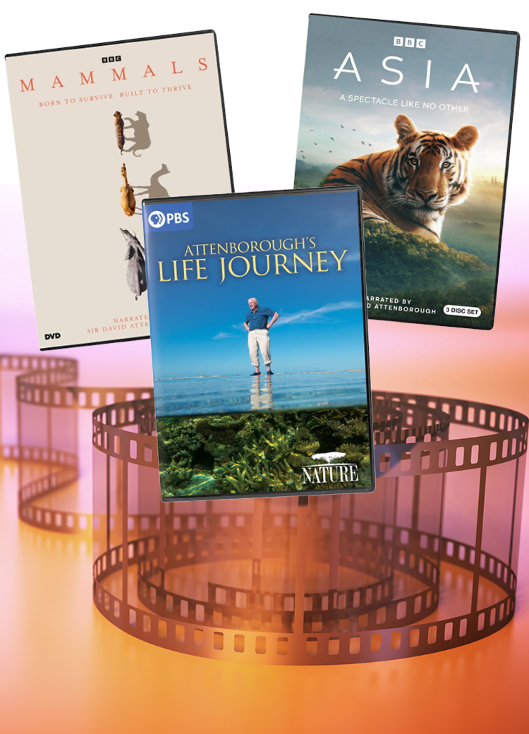DVD covers