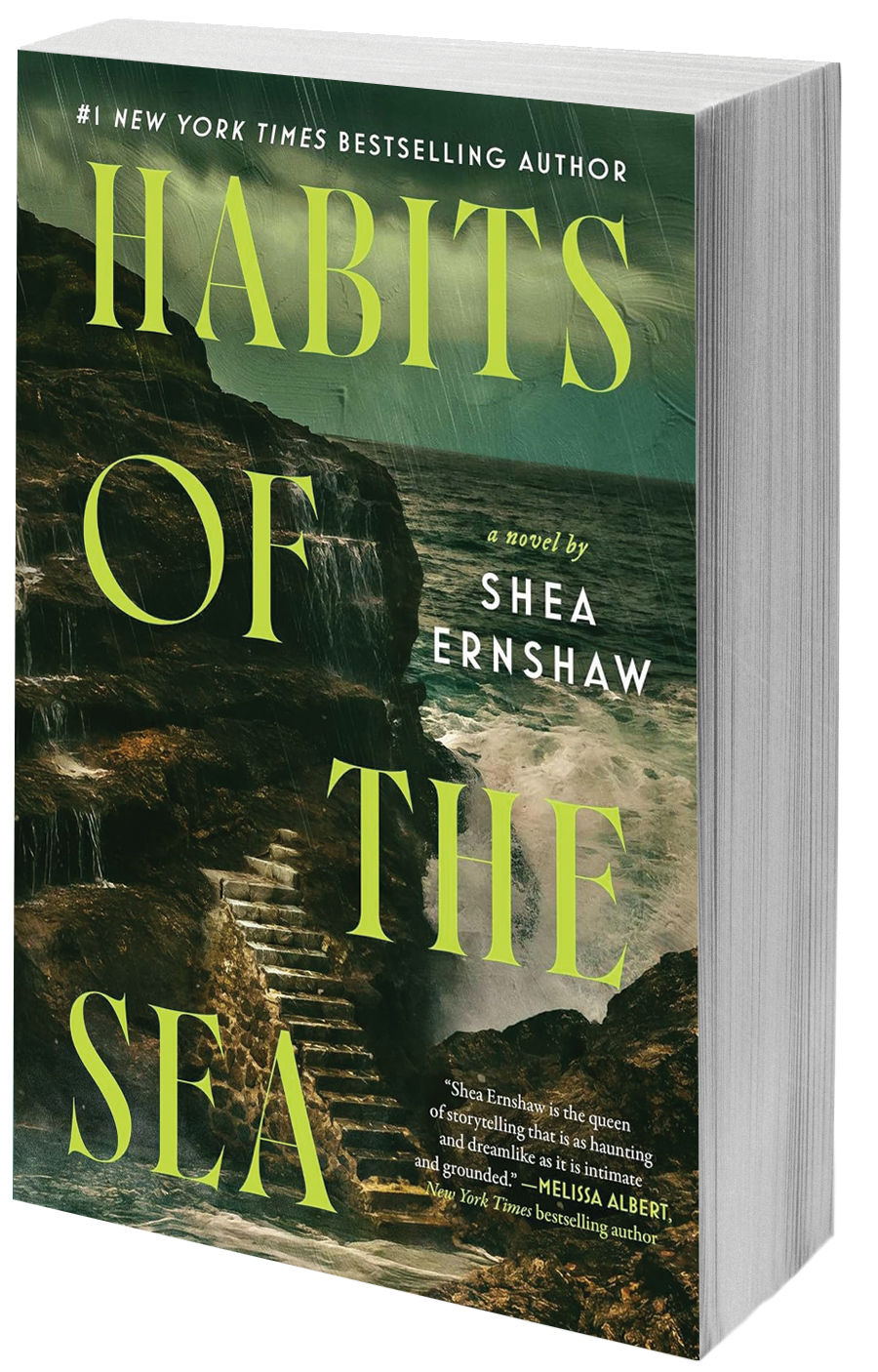 book cover stairs by the sea