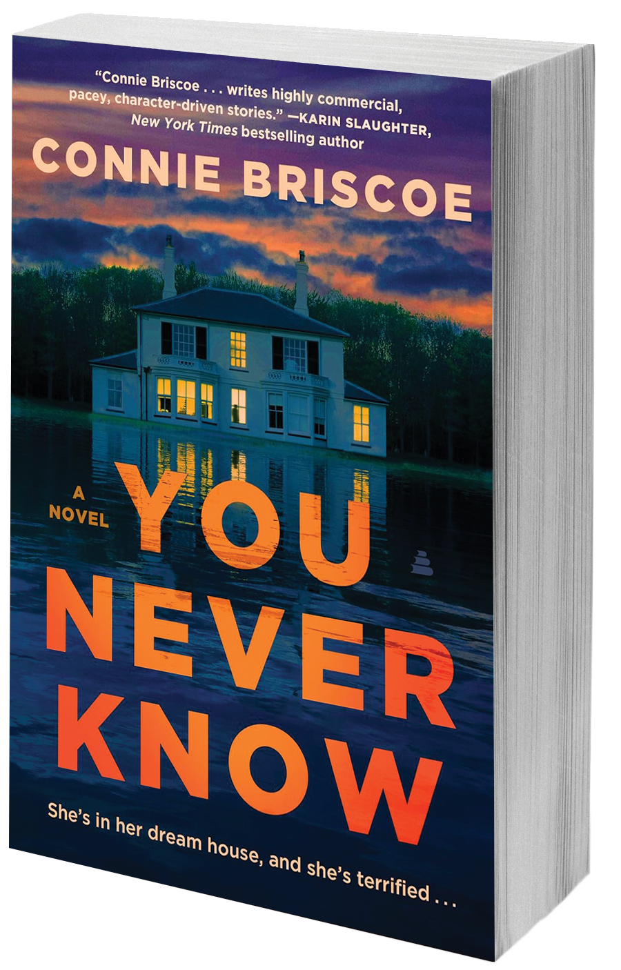 book cover big house on a lake