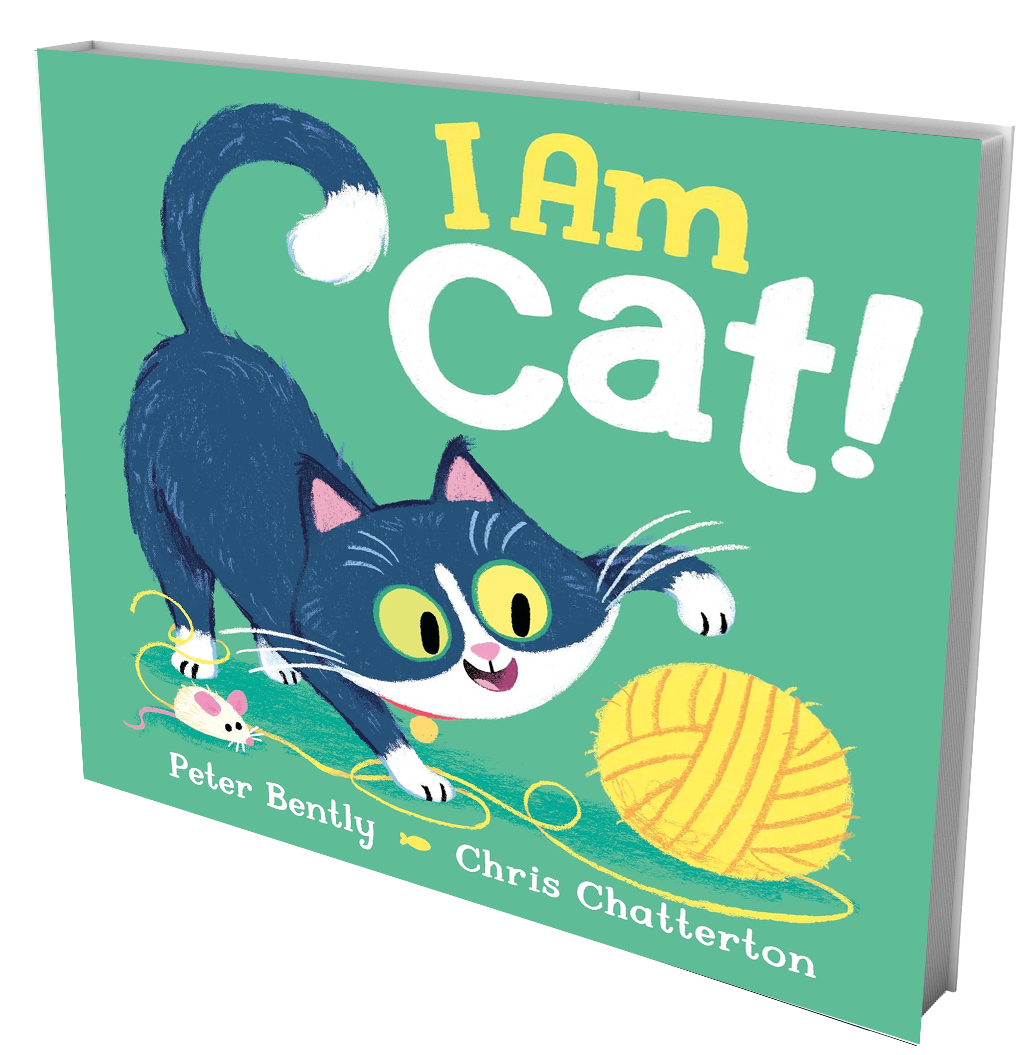 book cover cat and yarn