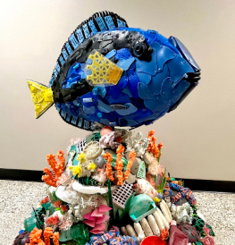 Bernie the Blue Tang