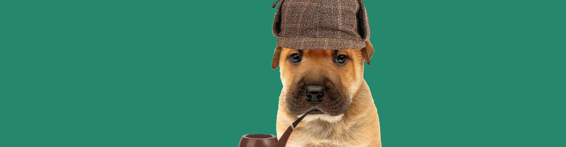 puppy dressed like Sherlock Holmes