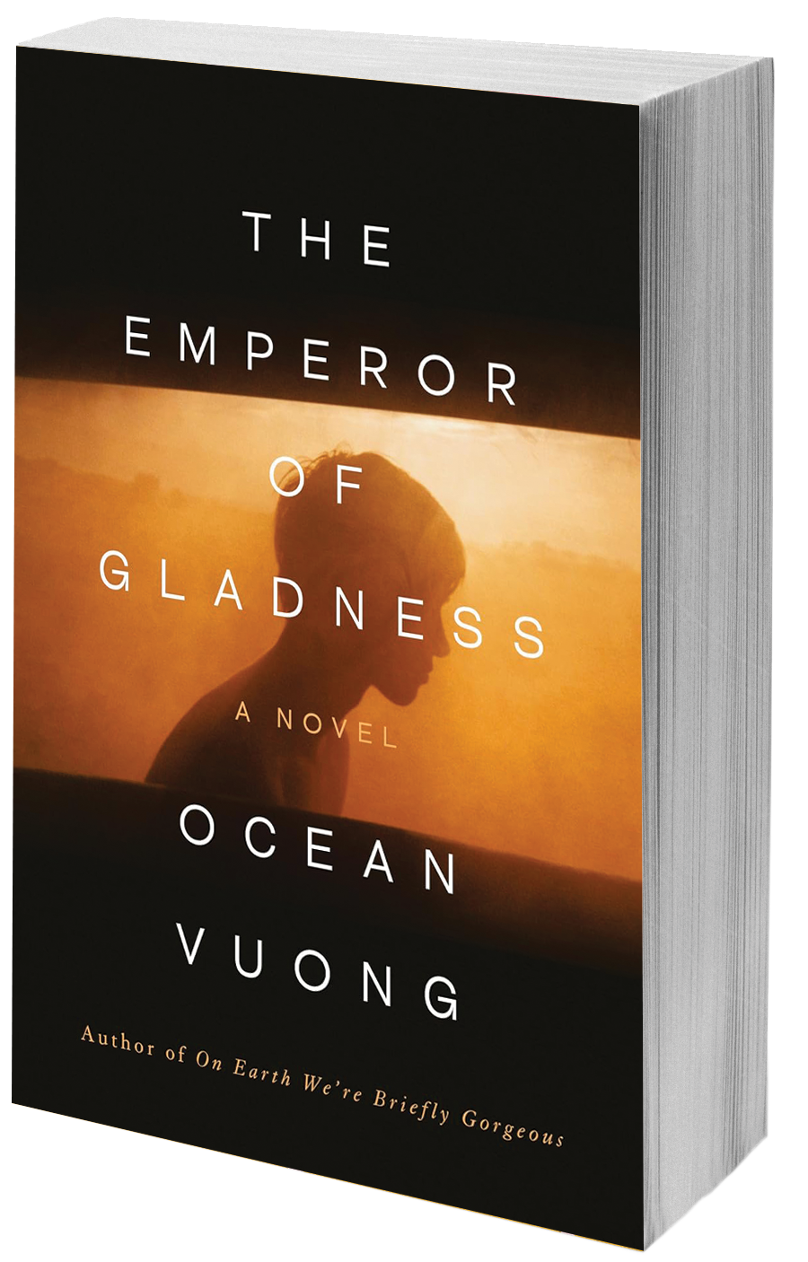 book cover silhouette of a boy