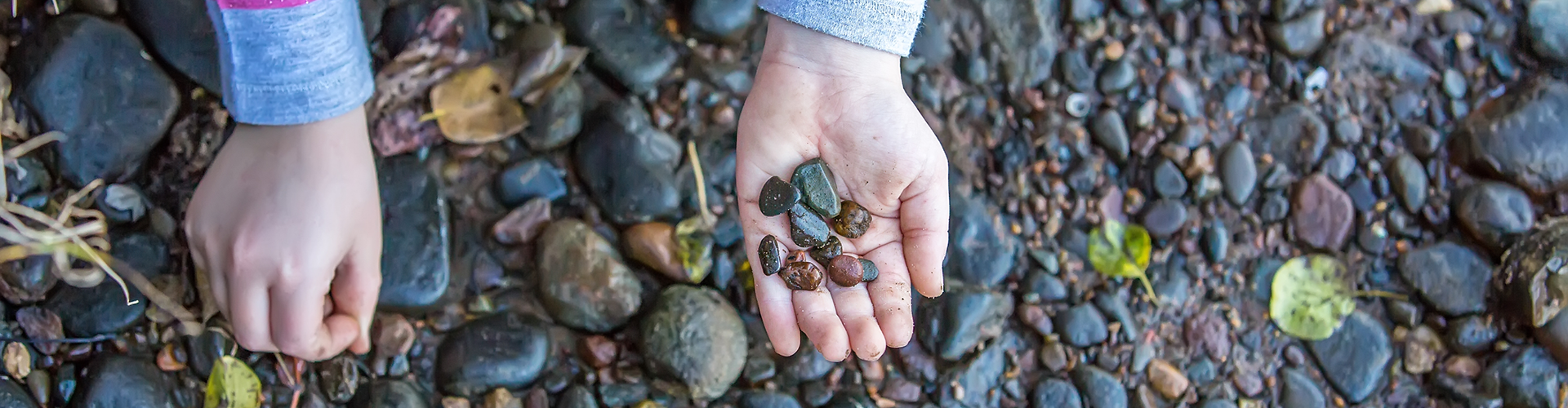 collecting rocks