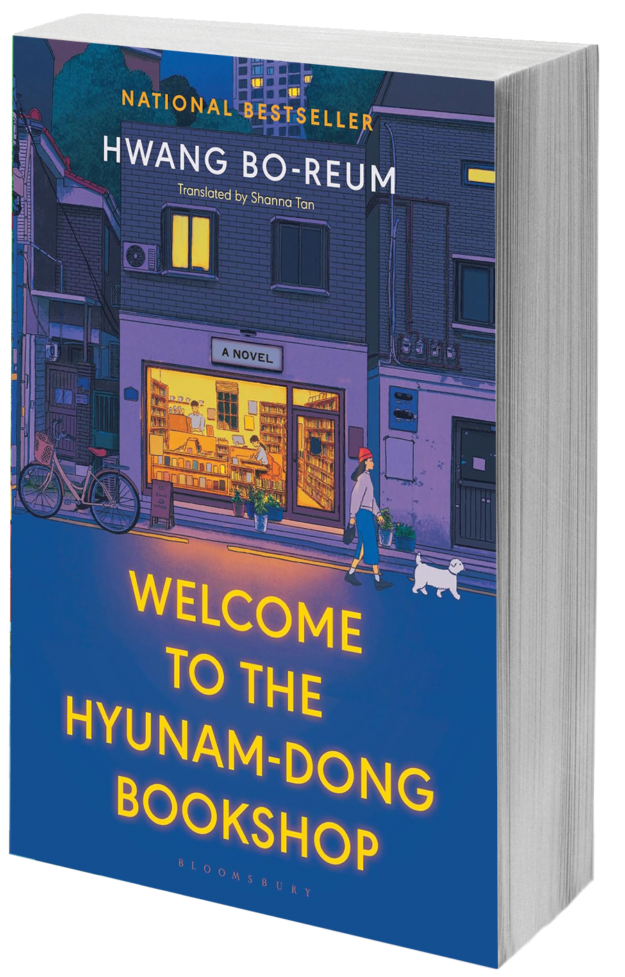 book cover with a cozy book shop