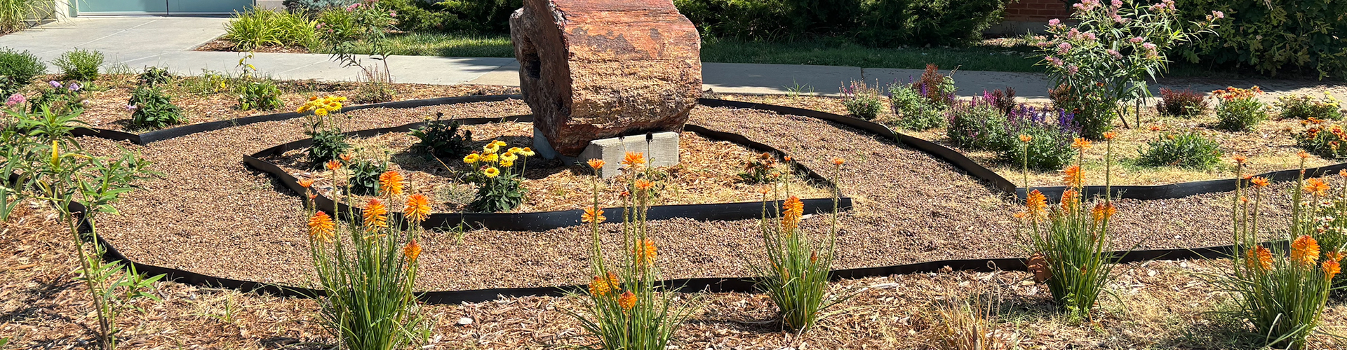 pollinator garden