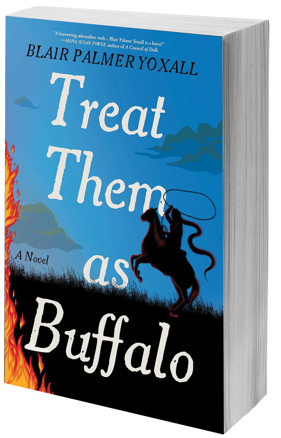 book cover cowboy