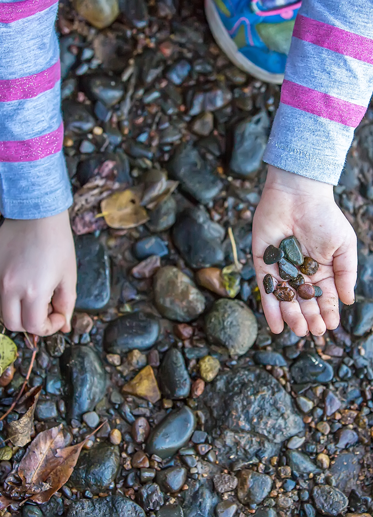 collecting rocks