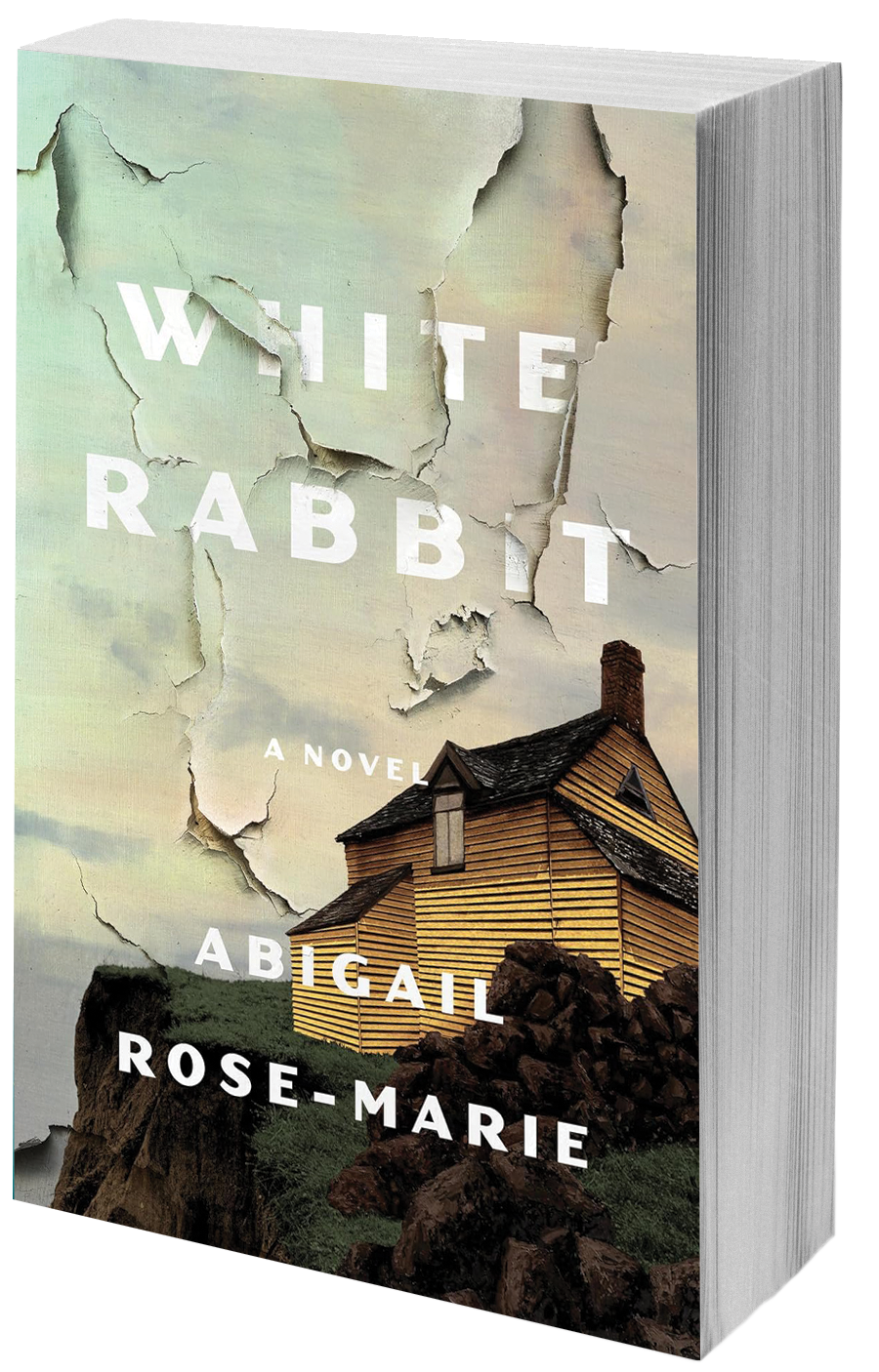 book cover yellow hose on a cliff