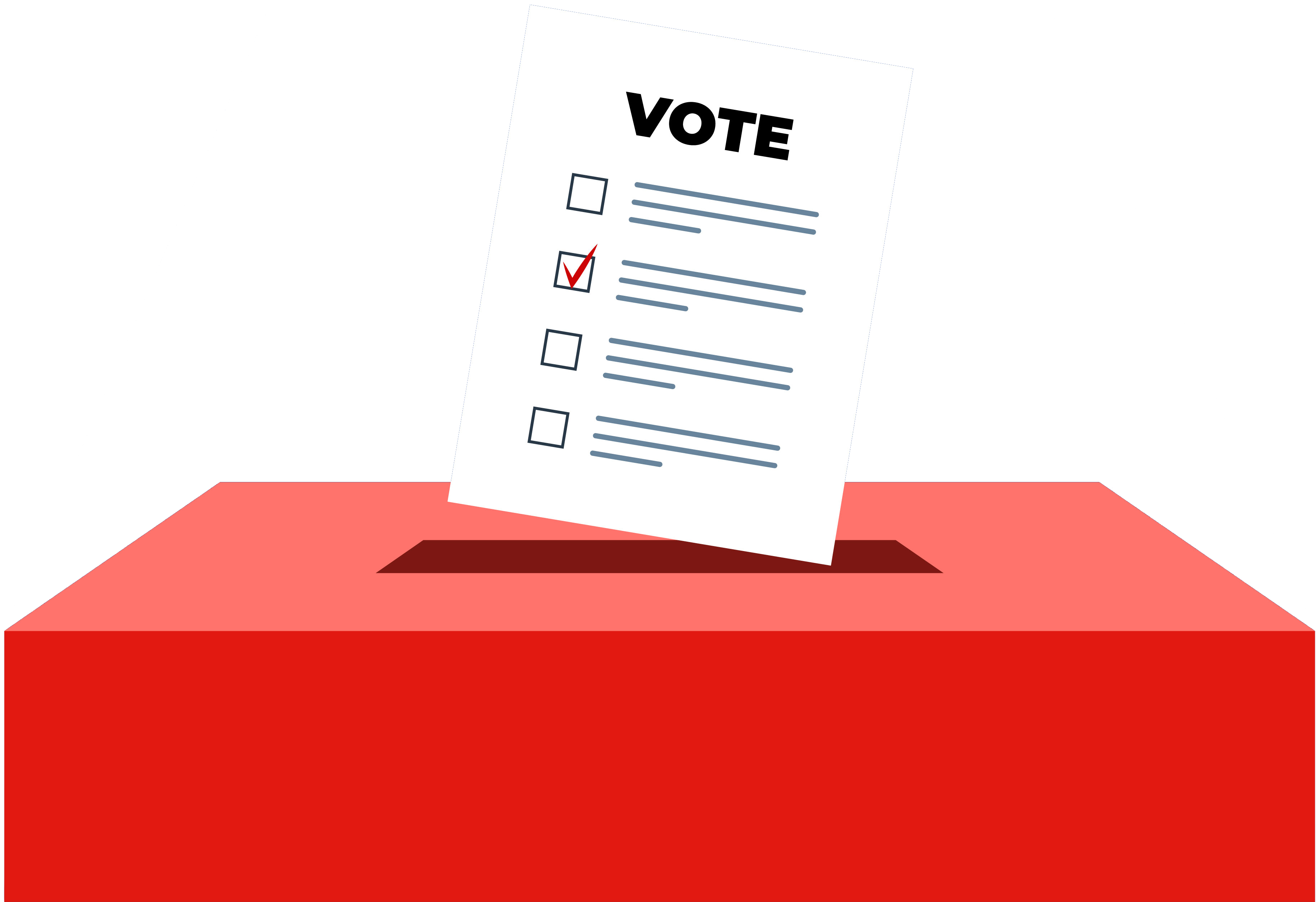 vote