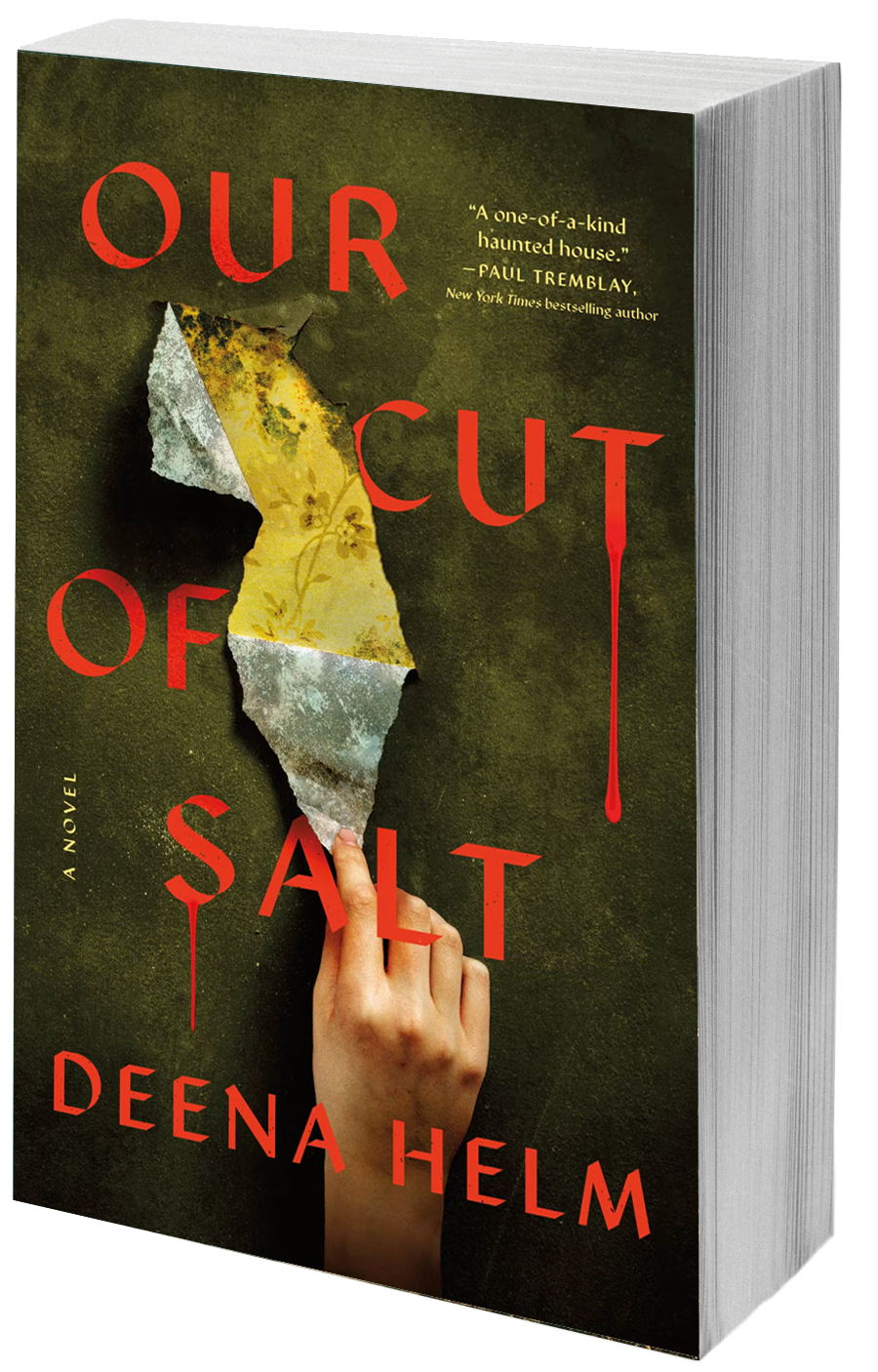 Our Cut of Salt
