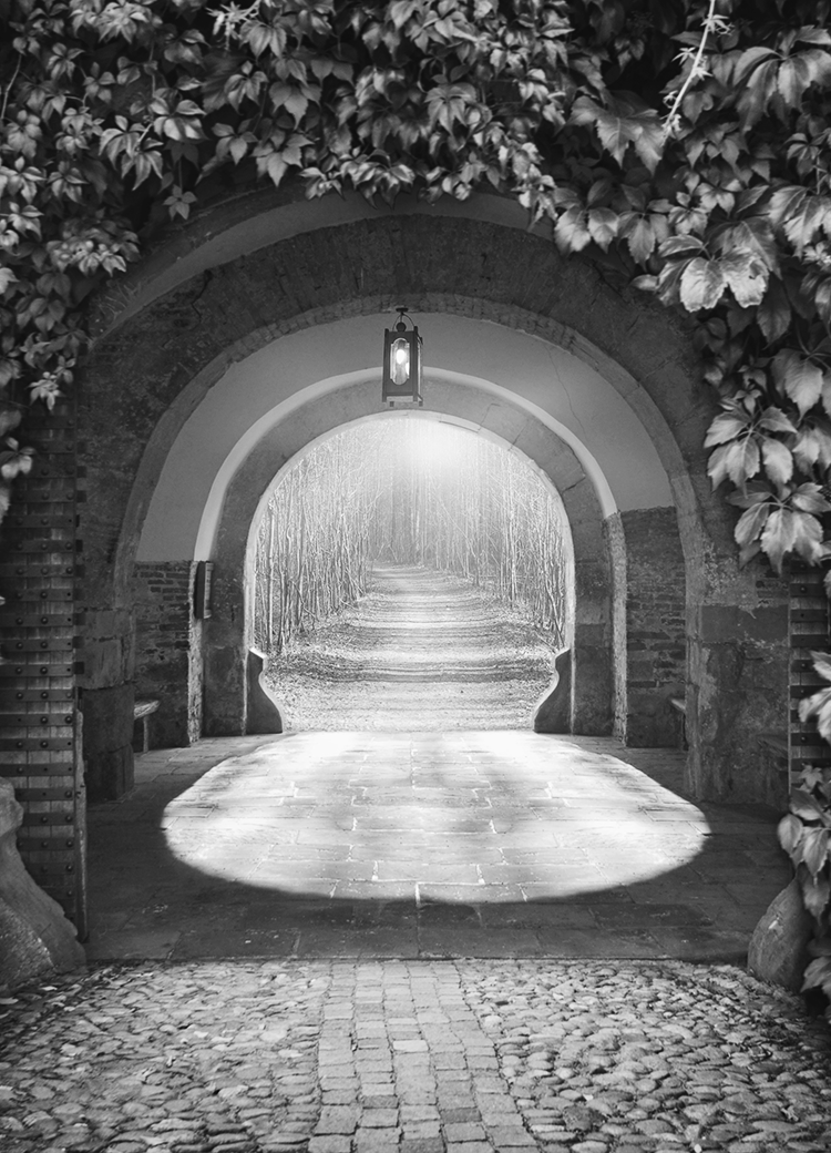 mysterious entrance black and white