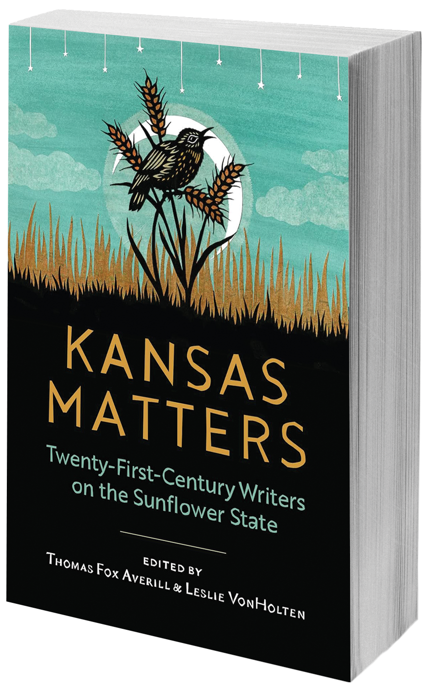 Kansas Matters book