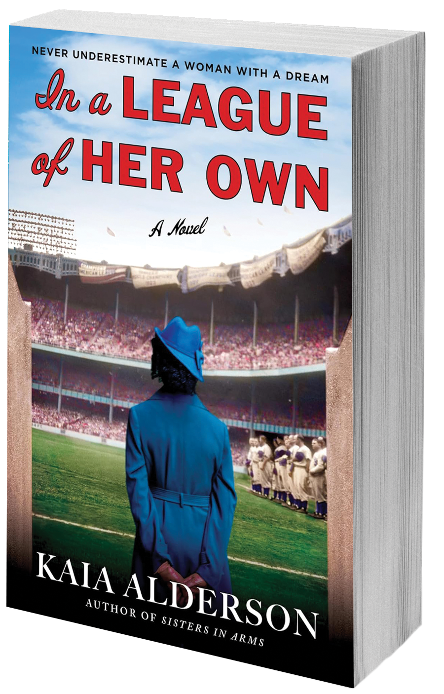 book cover woman overlooking baseball field