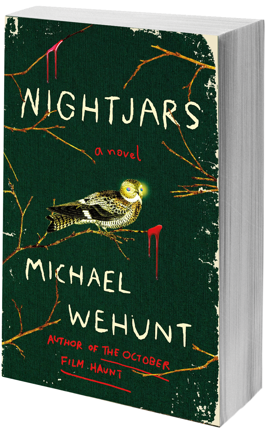 Nightjars